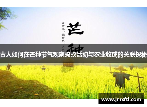 古人如何在芒种节气观察蚂蚁活动与农业收成的关联探秘 古人如何在芒种节气观察蚂蚁活动与农业收成的关联探秘